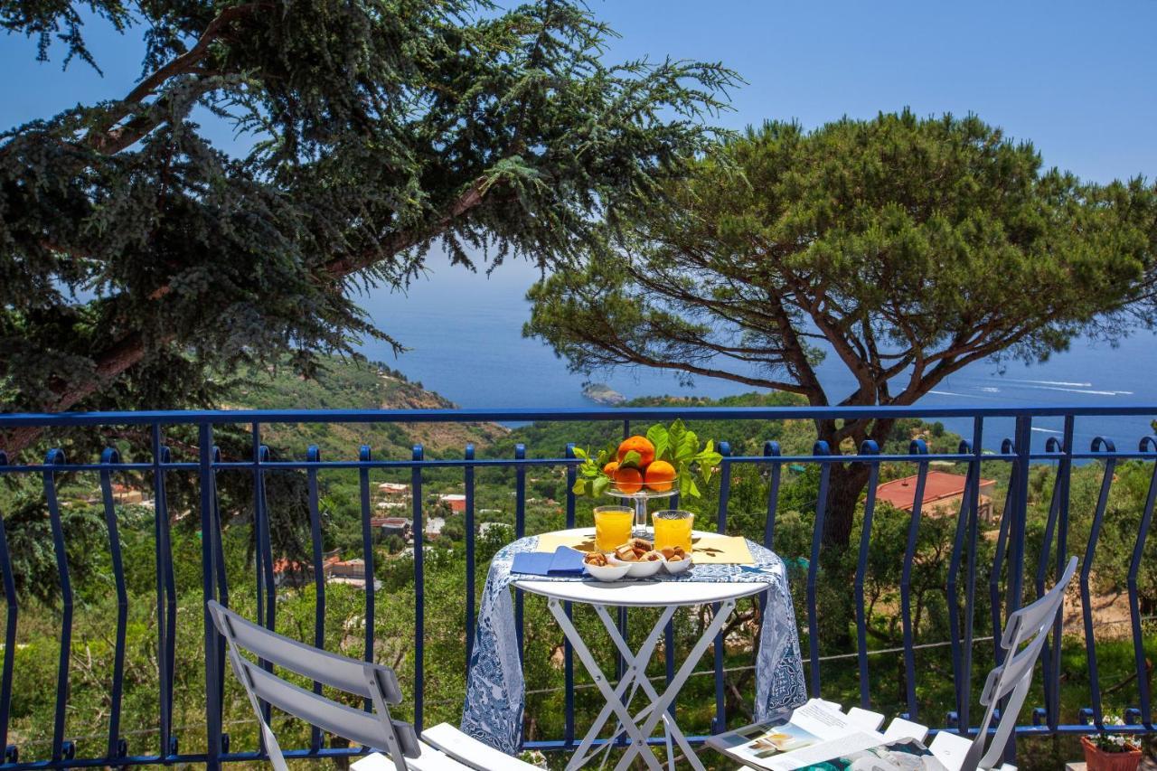 Villa Fedora Sea&Stars Massa Lubrense Extérieur photo